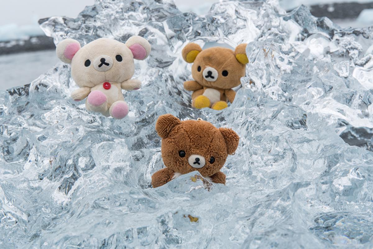  ������ ����� ����� ������������� ������� ����� ��������� ����� 