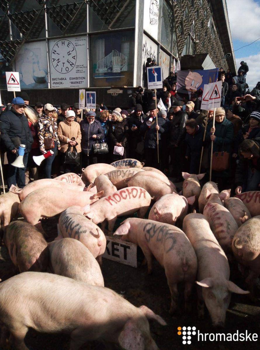 ����: glavred.info