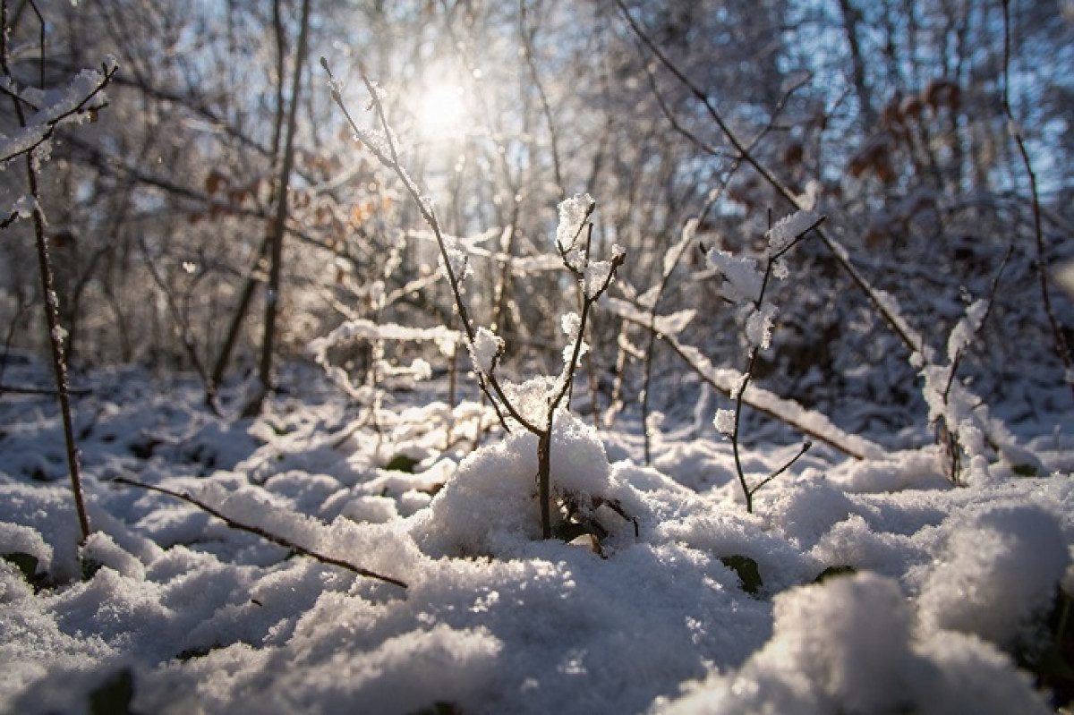  ������ ������ ������� ������ �������� ������� ���� ������� 