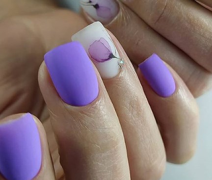  �������� ������� ���� ����� ����� ������ �������� 