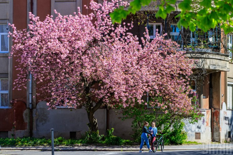  ������� ����� ����� ��������� 