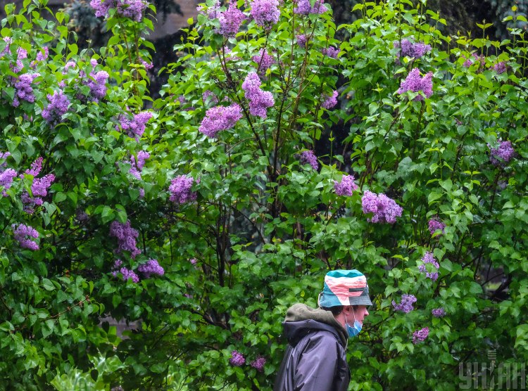  ������� ��������������� ��������� ������ ������� ���� 