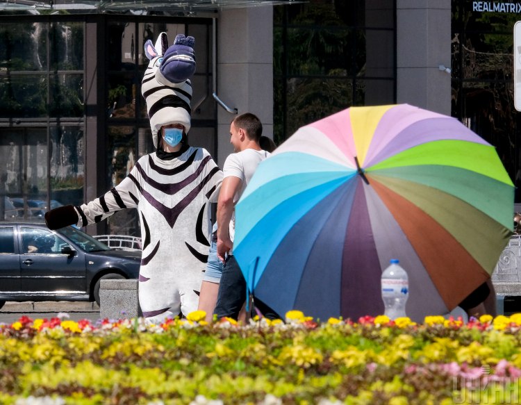  �������� ���� 2020 ������� �������� �������� ������ 