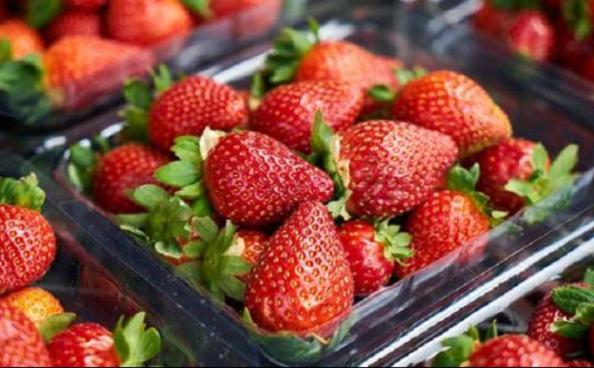  ������� ����� ���������� ���� �������� ��������� ����� �������� 