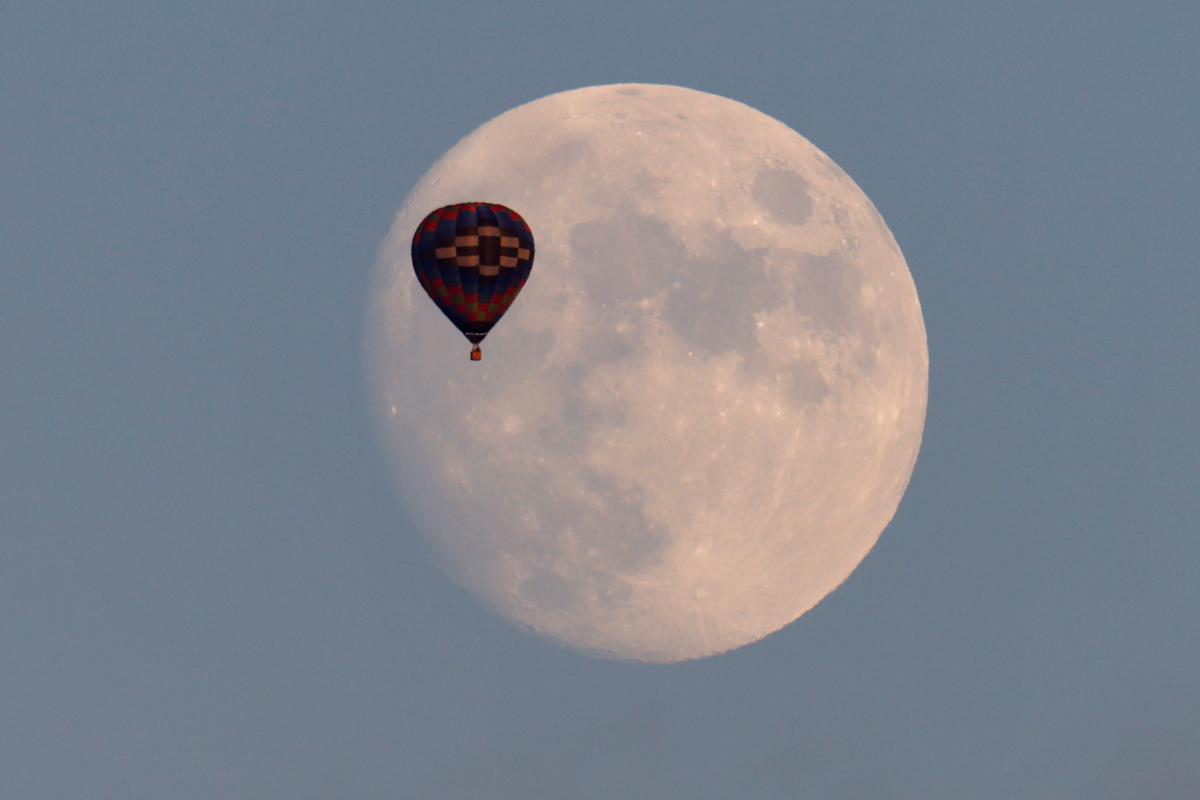  �������� ������ ������� �������� �������� ���� ���������� 