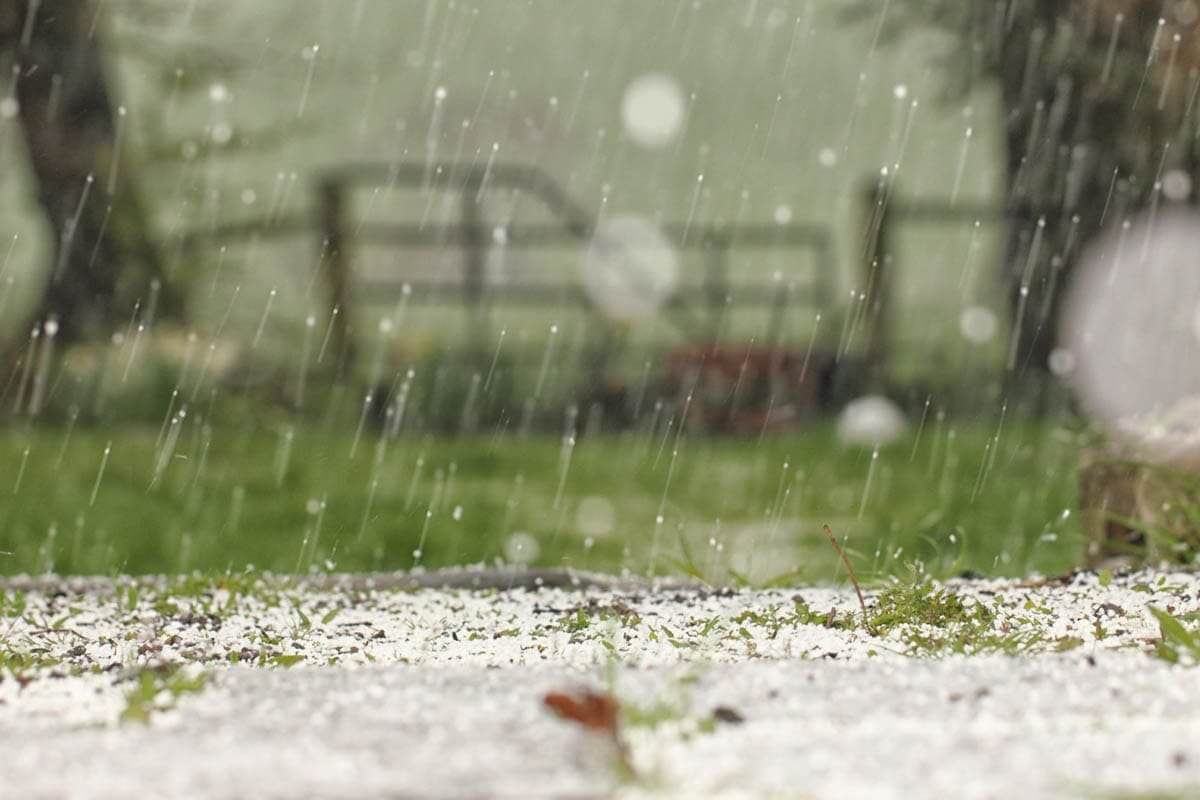  ������ ���� ������ ��������� ������������ ��������� ��������� 