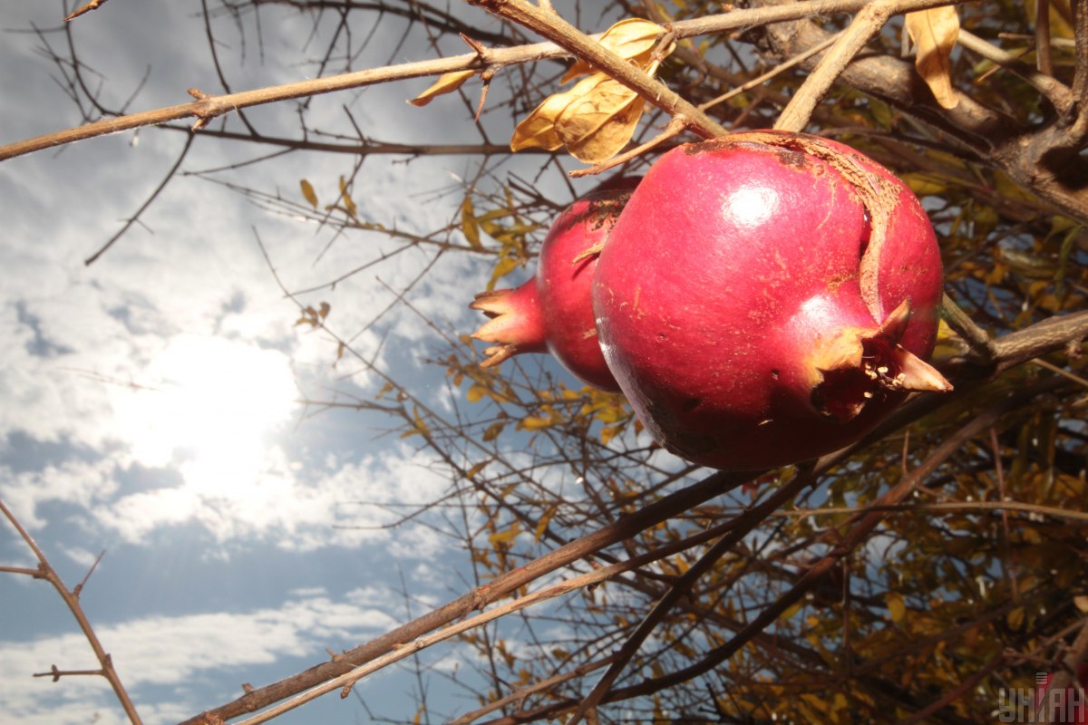  ������ �������� ������� ������ ������������ ������������ 