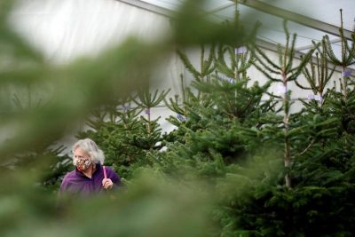  �������� ������� ������ ������� ������� 