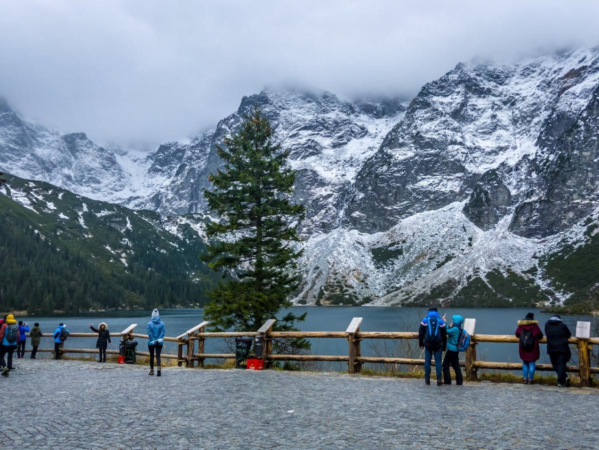  ������ ���������� ������� ����������� ��� ����� ������-��� 