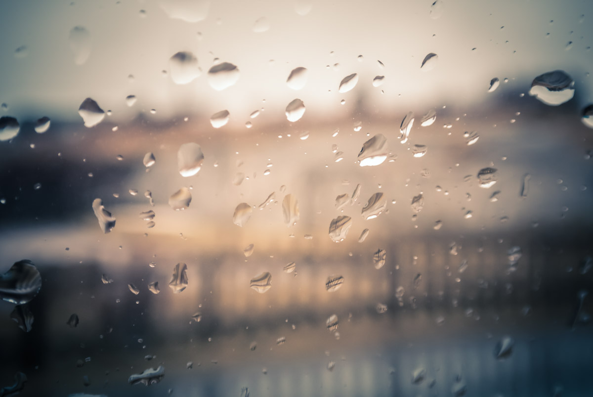  ������� ����������� ������ �������� ������������ ���� ���������� 