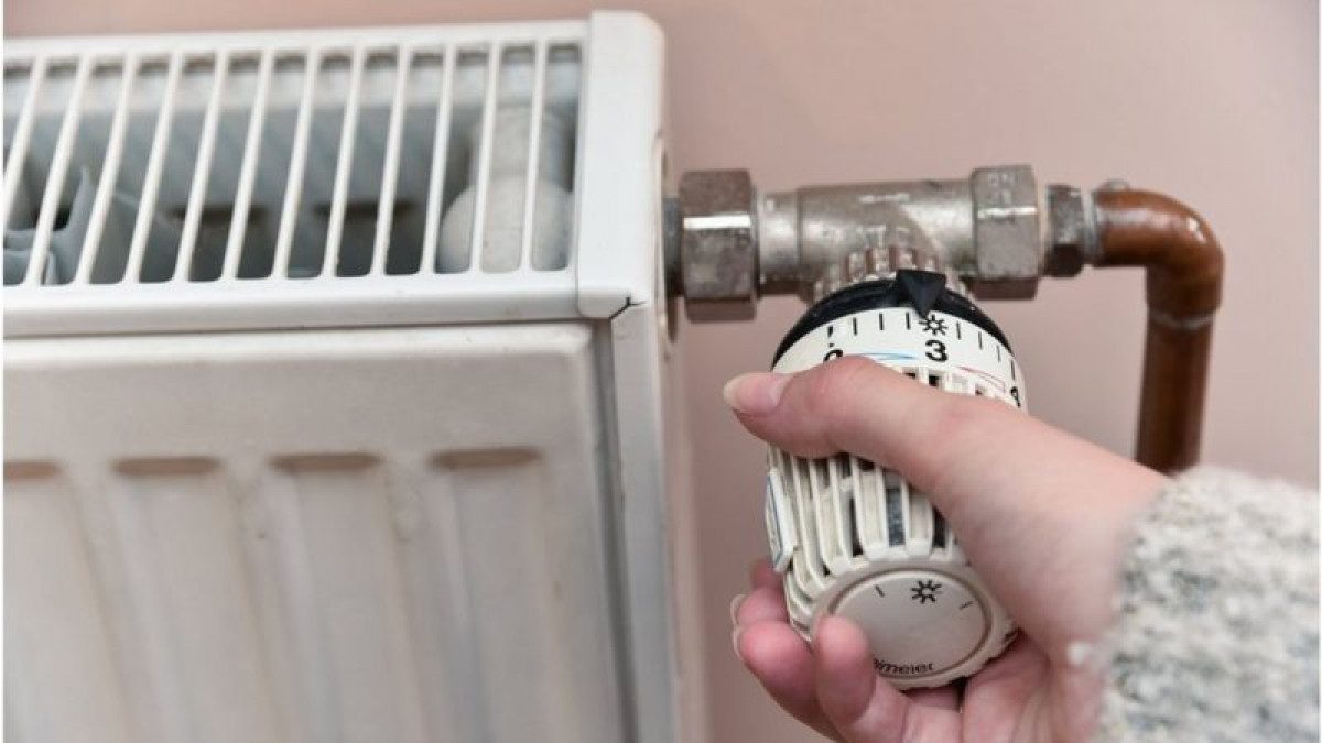  ������ ������� ���� ����� ������ ������ ��������� 