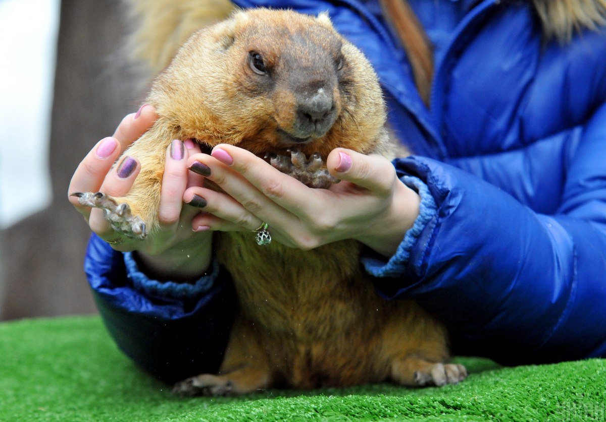  ����������� ����� ����� ���������� ������� ������ ����� 