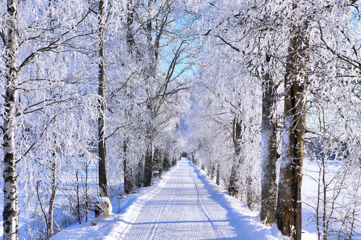  ������� ������� �������� ������� ����� 