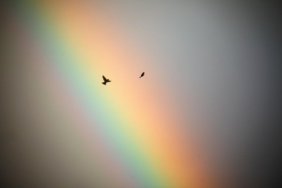  �������� ������� ������� �������� ���� ������ �������� 