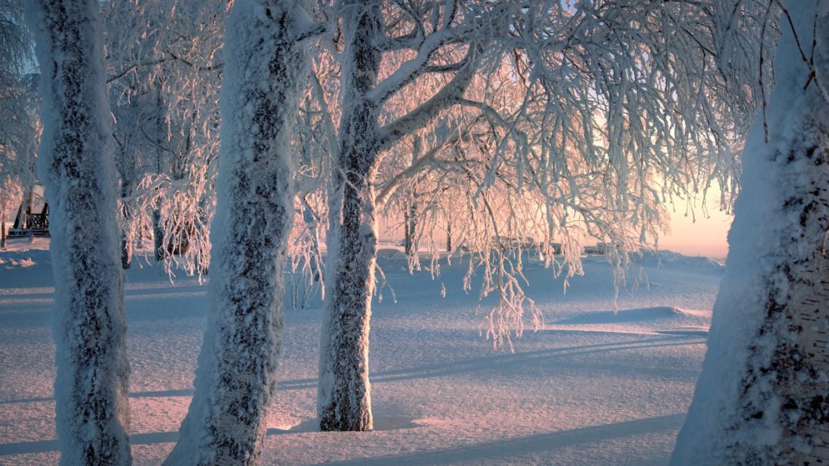  ��������� ������������ ����� ����� ����������� ������� 