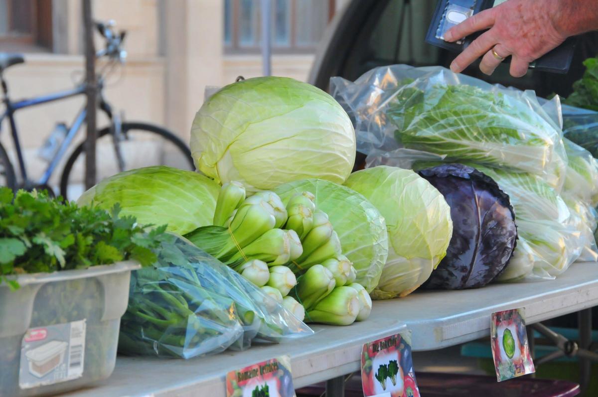  ������� ����� ���������� ���� ������ ������� ��������� 