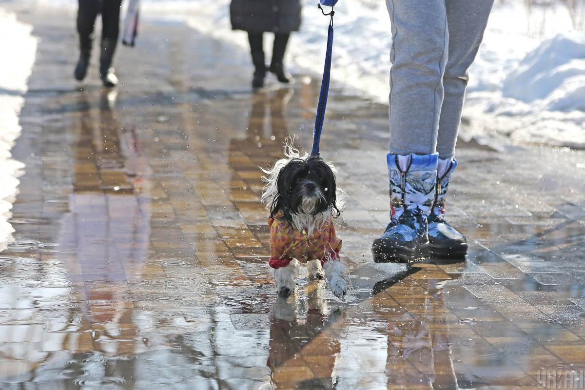  ���� ������� ������� ����� ������ ������ ���� �������� 