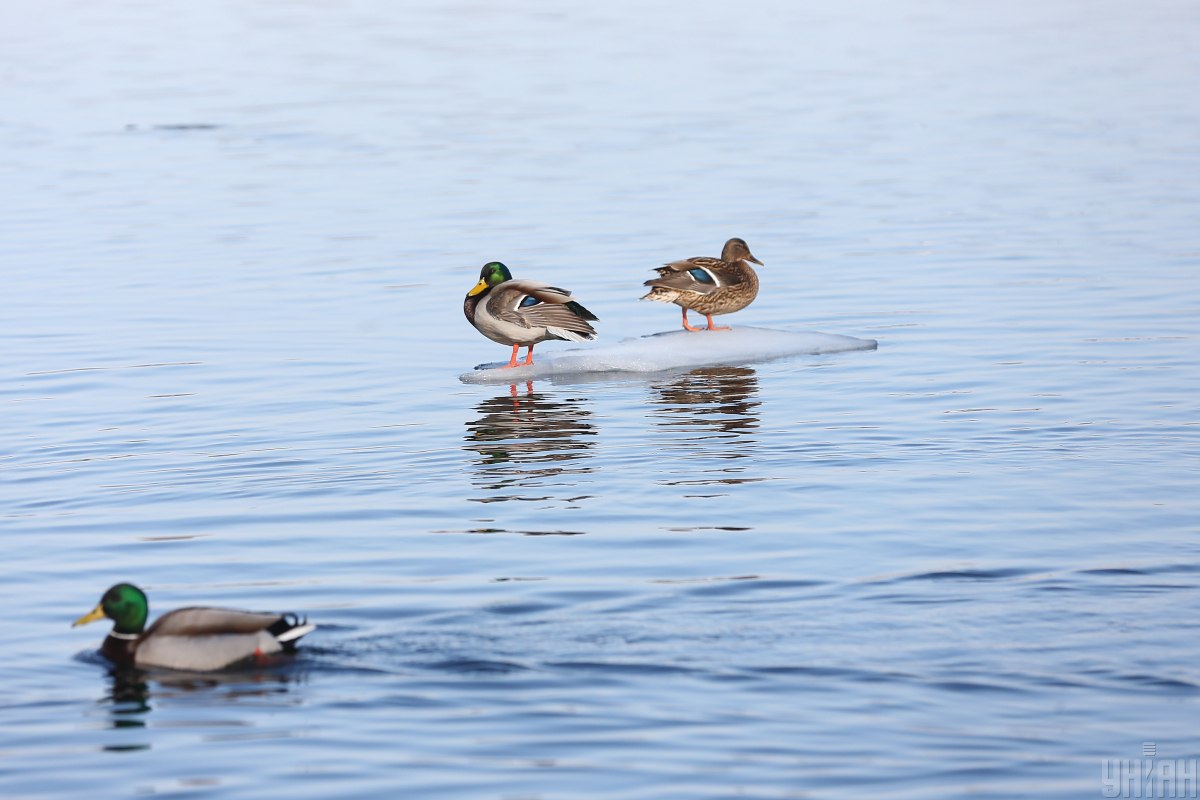  ������� ��������� ���������� �������� ������� ����� 