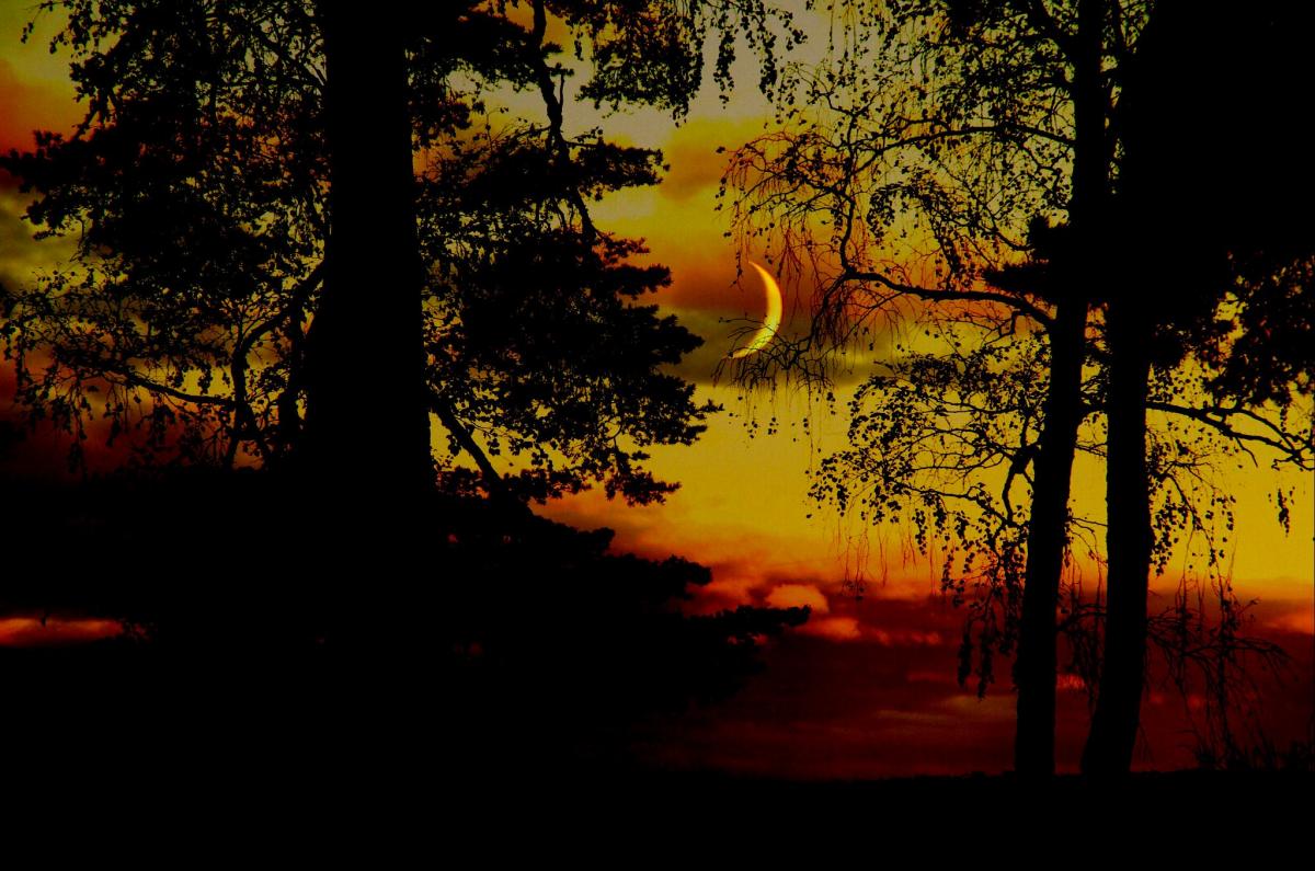  ��������� ����� 2021 ������� ������ ������ ������� 