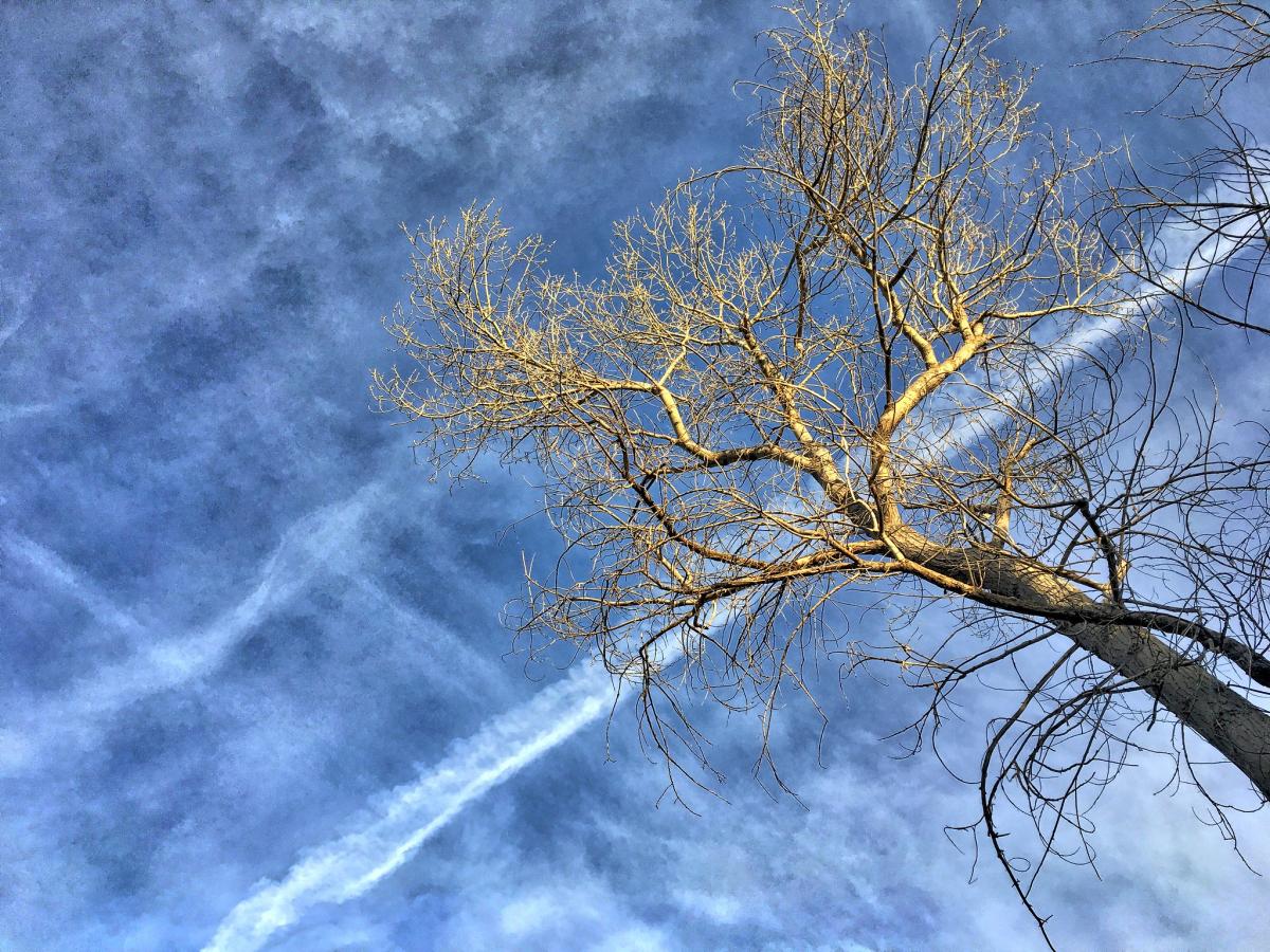  �������� ������ ������� ����� ������ 