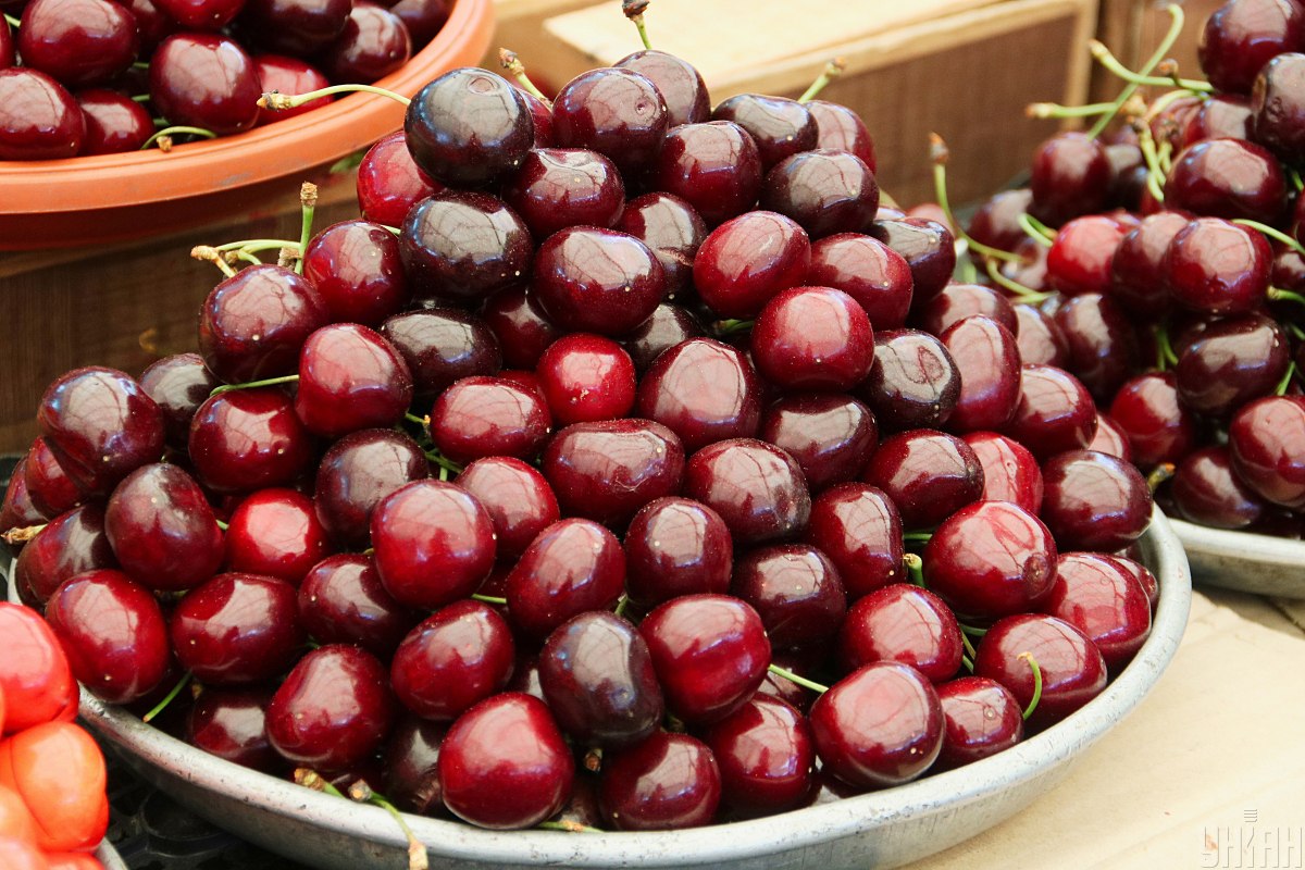  ����� ������ ������� ��������� ������� �������� ���� ������� 