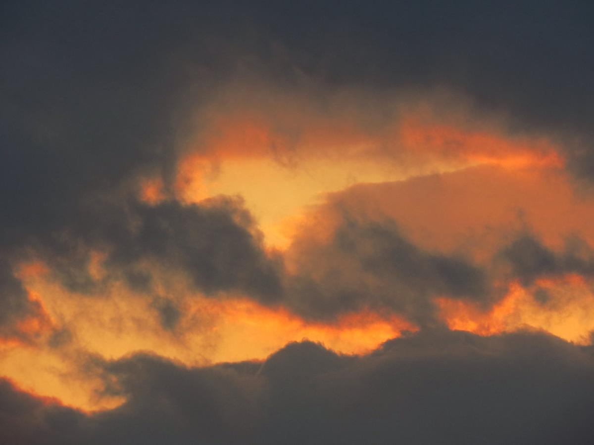  �������� ���� 2021 ������ ������� ������������ ������� ���� 