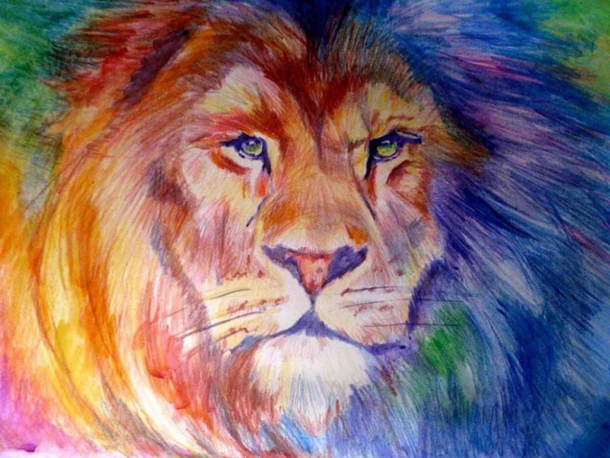  �����-���� �����-����� �������� ���� ���� �������� ��������� �������� 