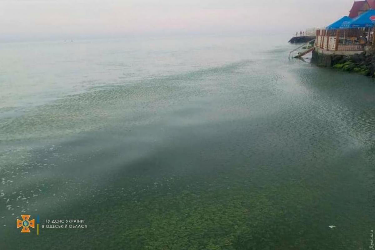  ������ ����� ���� ���������� 13-������� �������� ������ ���� 