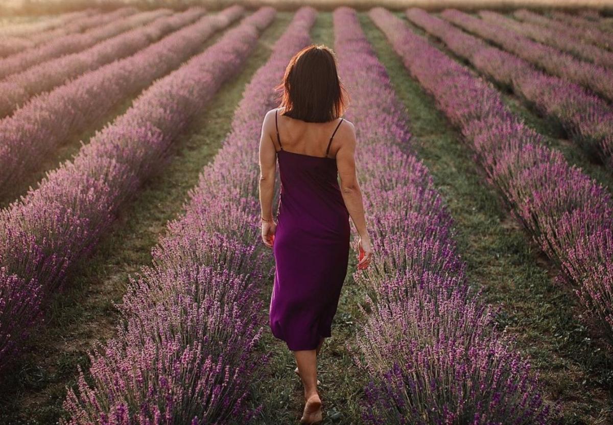  ������� ������ ������� ������ ���������� ���������� �������� ����������� 