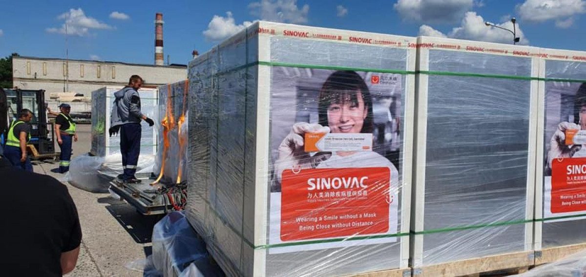  ������� �������� ������ ��� ��������� ������� sinovac 