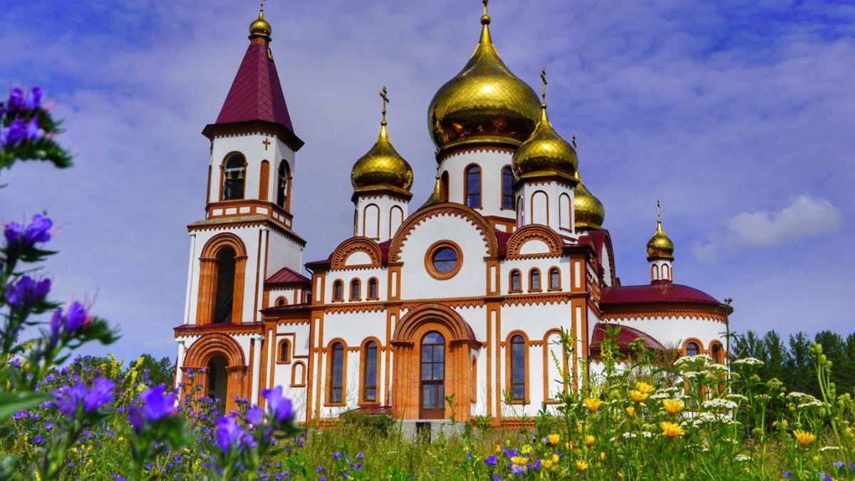  ������� ���� ������� ���� 