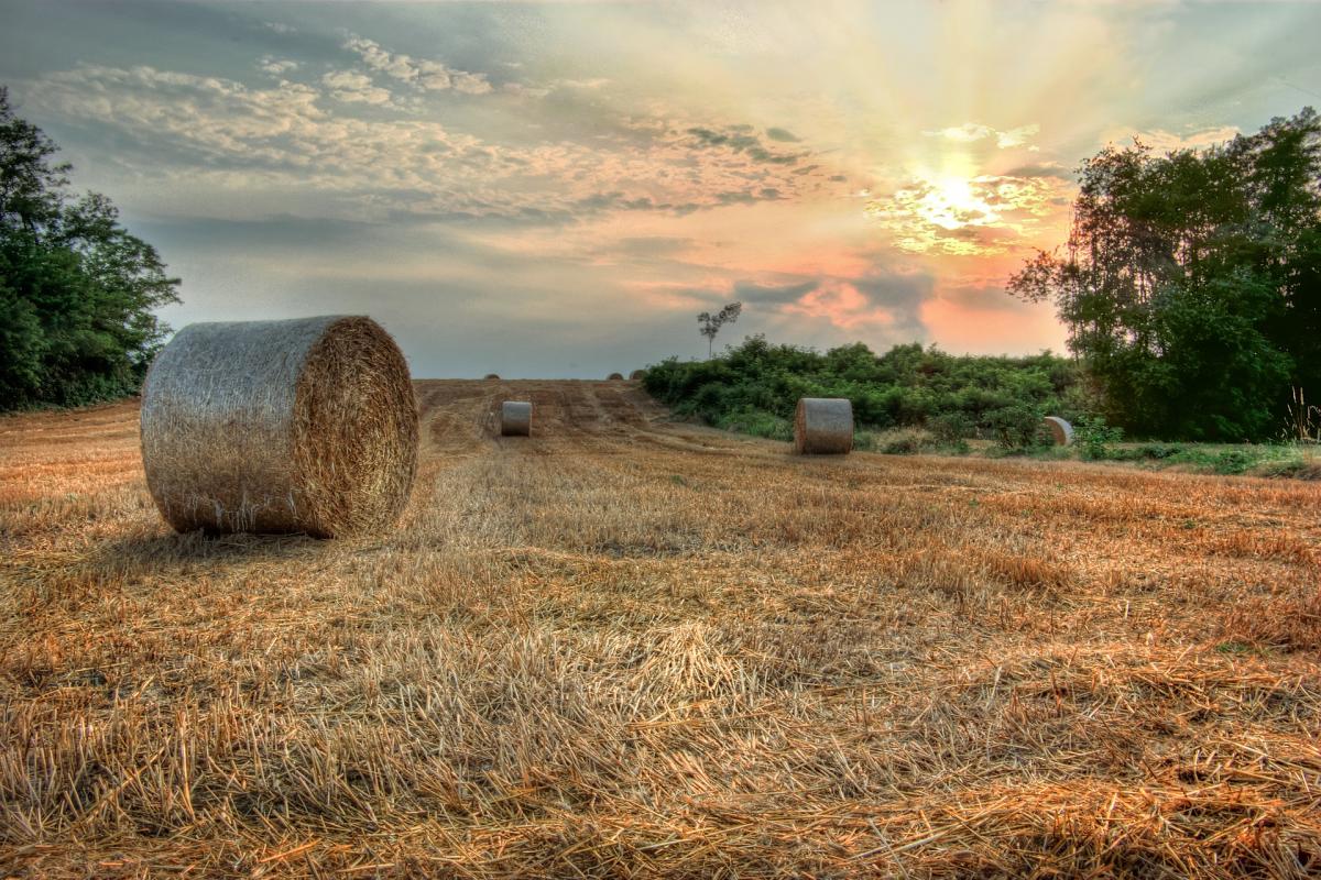  ������� ������� ������� ���� ���� ������ 