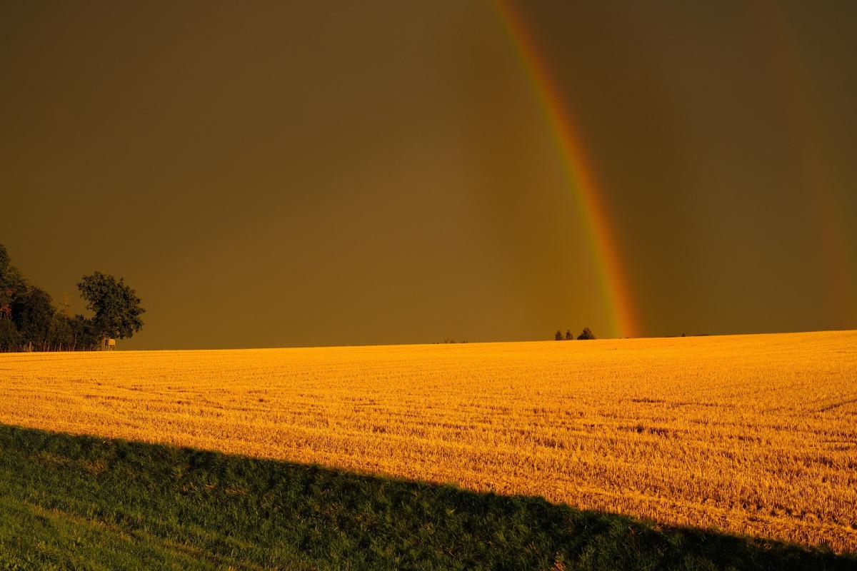  ������� ������ ������� ������� ������ ����������� 