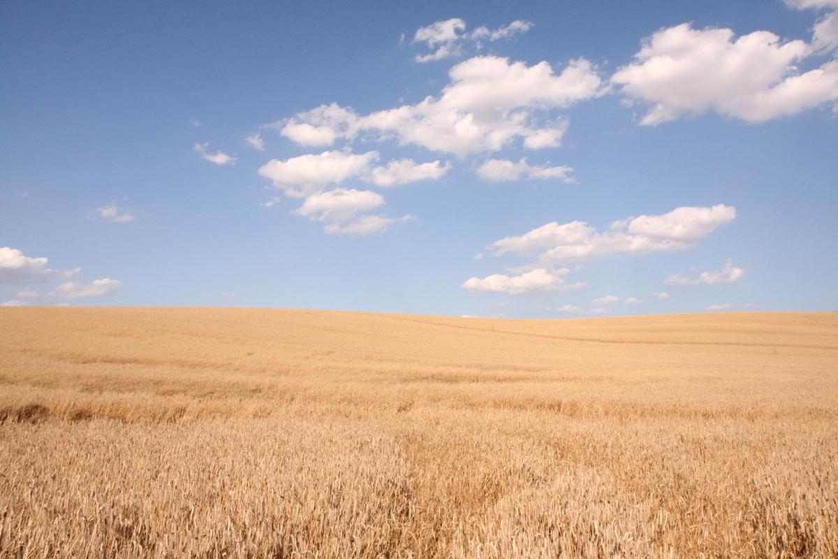  �������� ������� ������ ������� ������ 