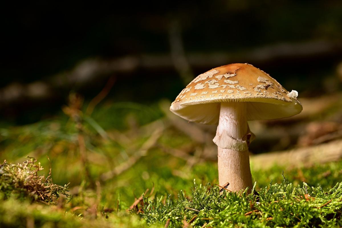  ������� �������� ������� ���� 