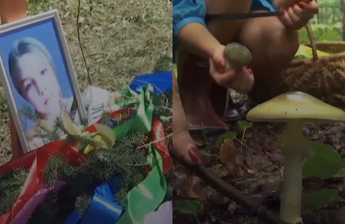  ���� ������� ������ ����� ���� ����� ������ ���������� 