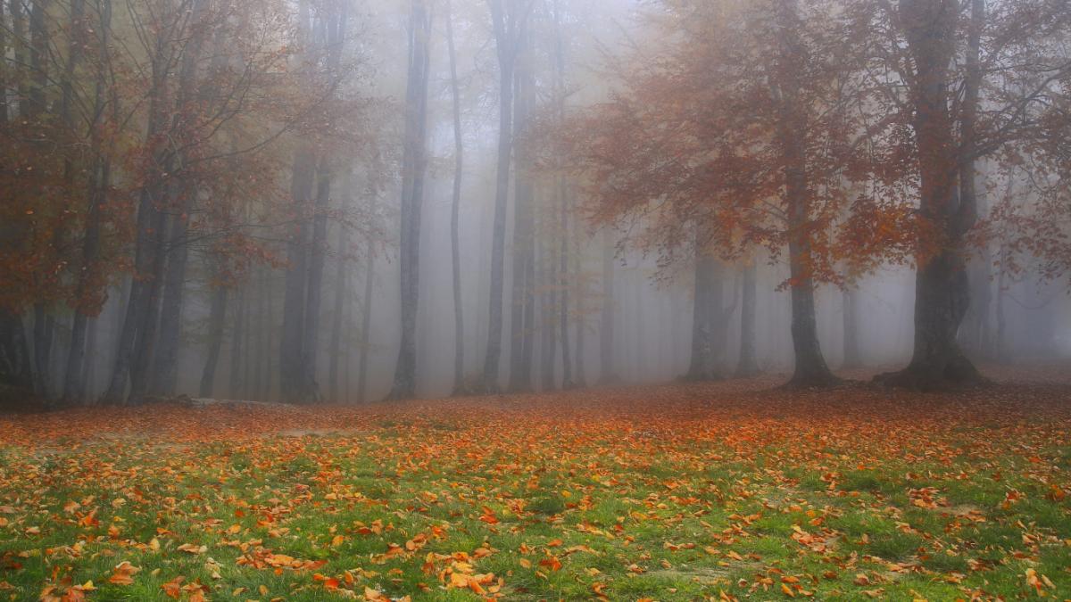  ������� �������� ������� ���� 