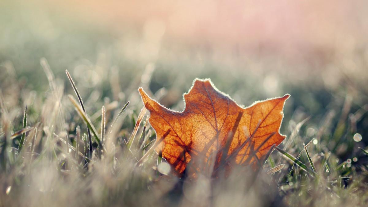  ������� �������� ������� ���� 