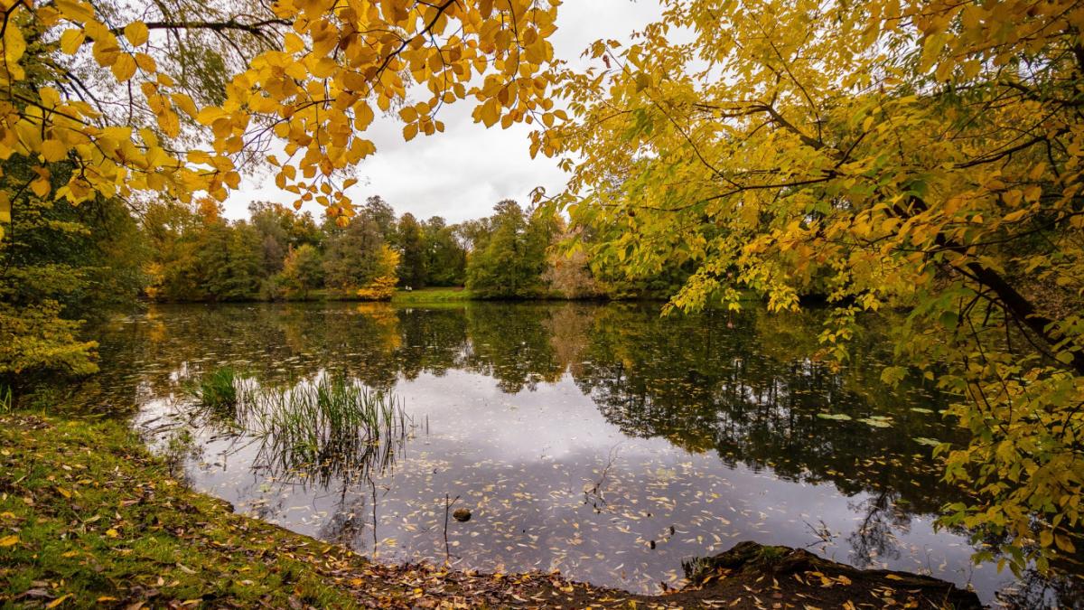  ������� ������� ������� ���� 