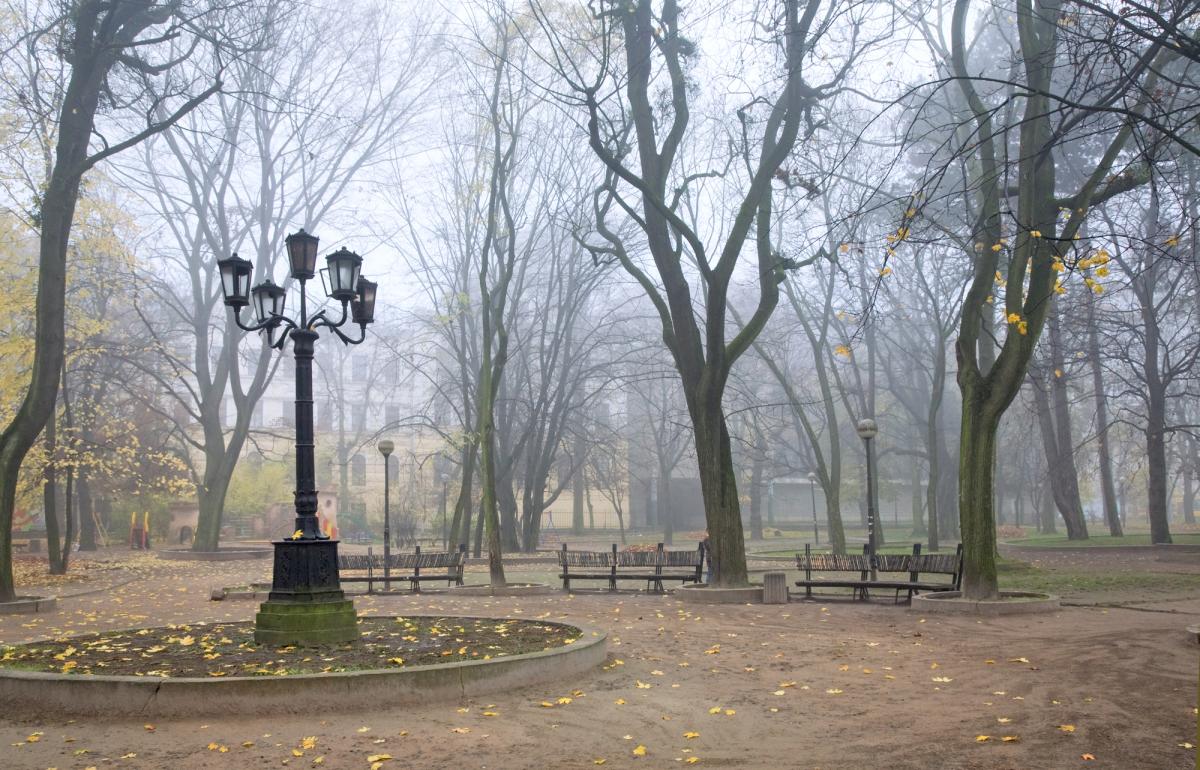  ������� ������� ����������� �������� ������ ����� 