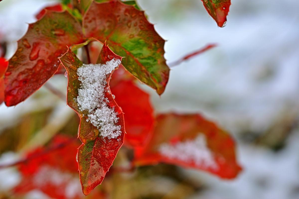  ������� ������� ������� ���� 