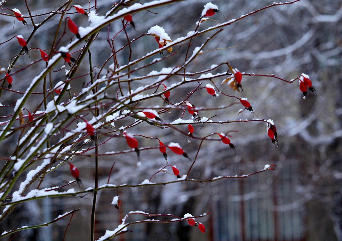  ������ ���������� ������� ������� �������� ����������� ���������� 