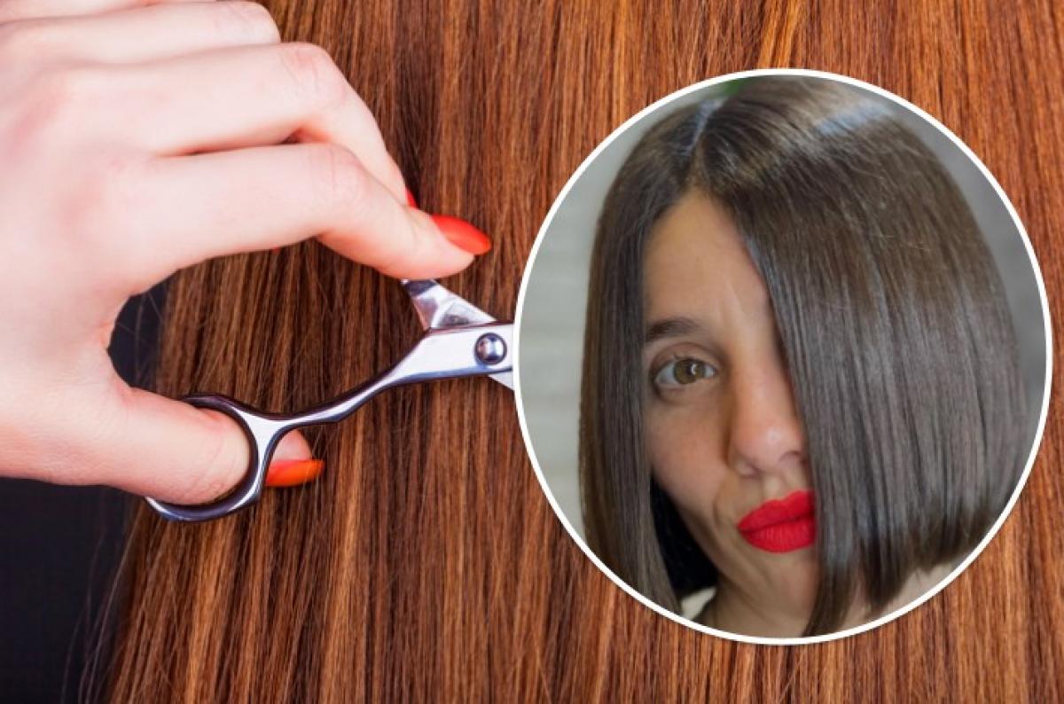  ���� 2022 ��� ��������� ������������ �������� ������� ���� 