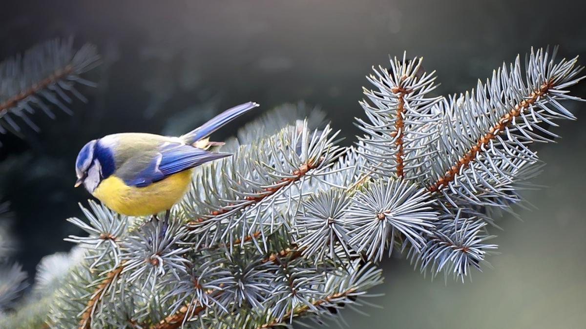  ������� ������ ���� ������ ��������� ������� ���� 