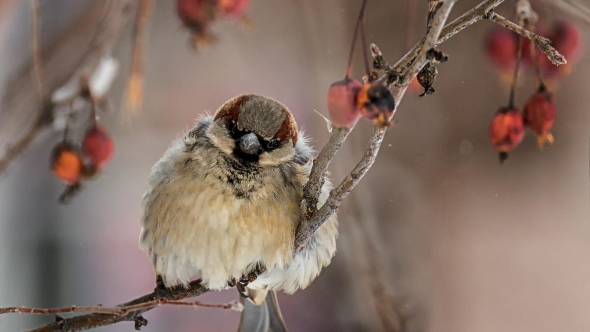  ������� ������ ������� ���� ����� ������� ���� 