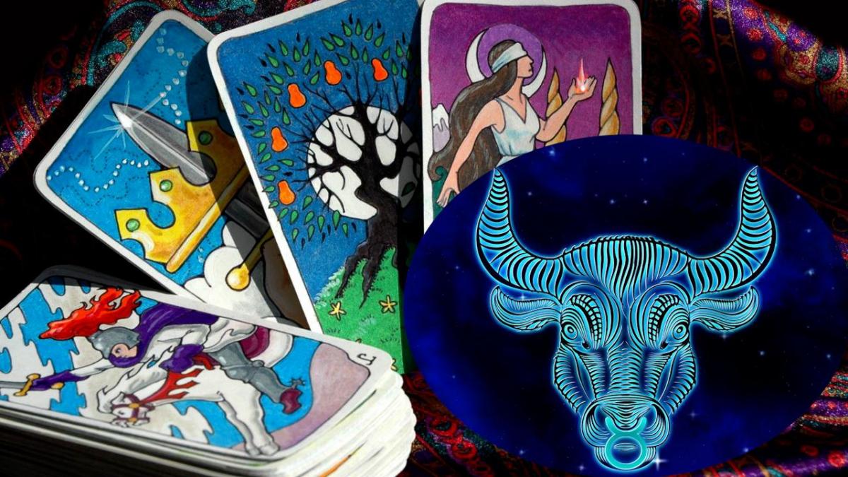  �������� ���� ������� ������� 2022 ������� ������ ������ 