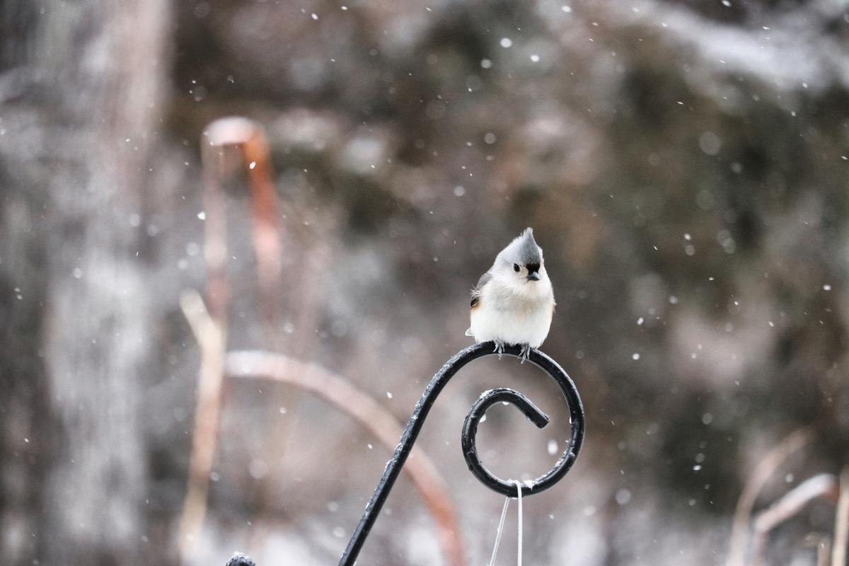  ������� ������ ���� ������ ������� ���� 