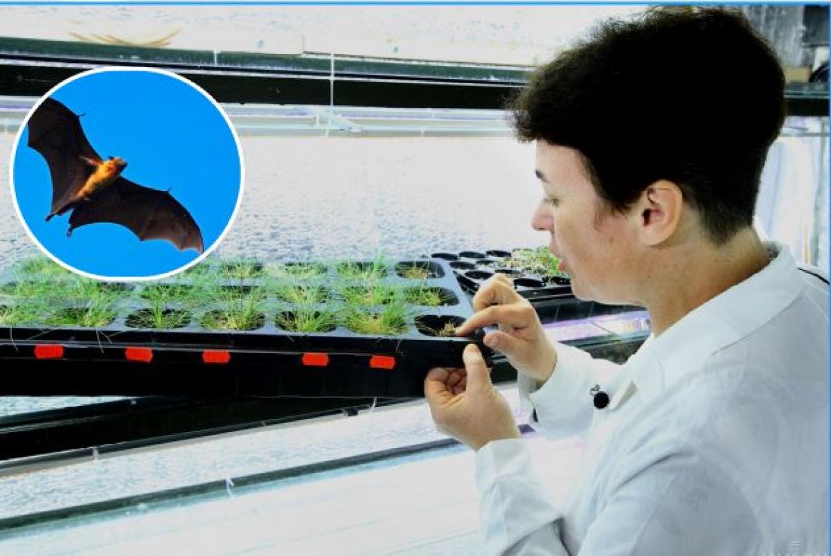  ����� ������� ����� ������� ����� ����������� 