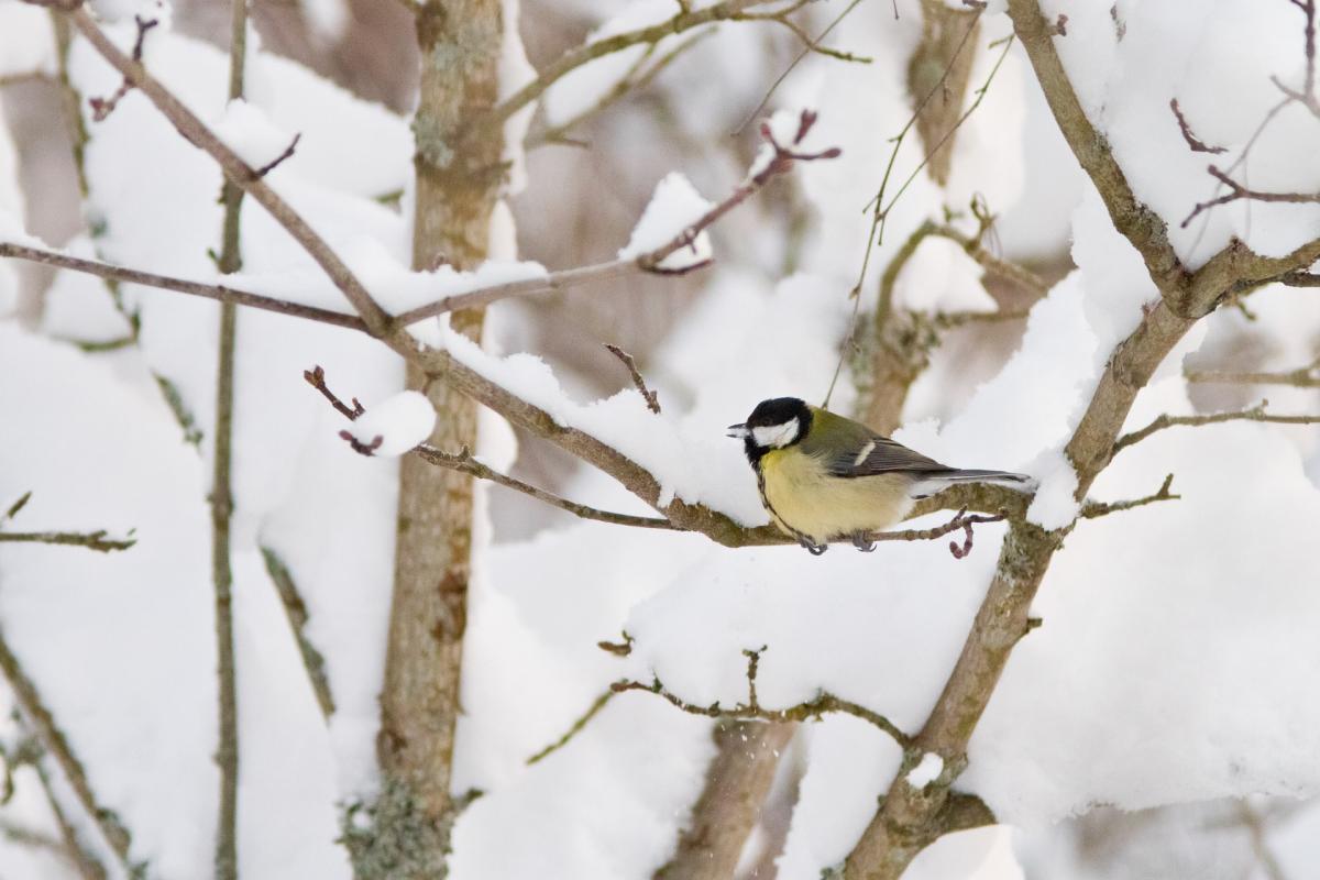  ������� ������� ���� ������� ������� ���� 