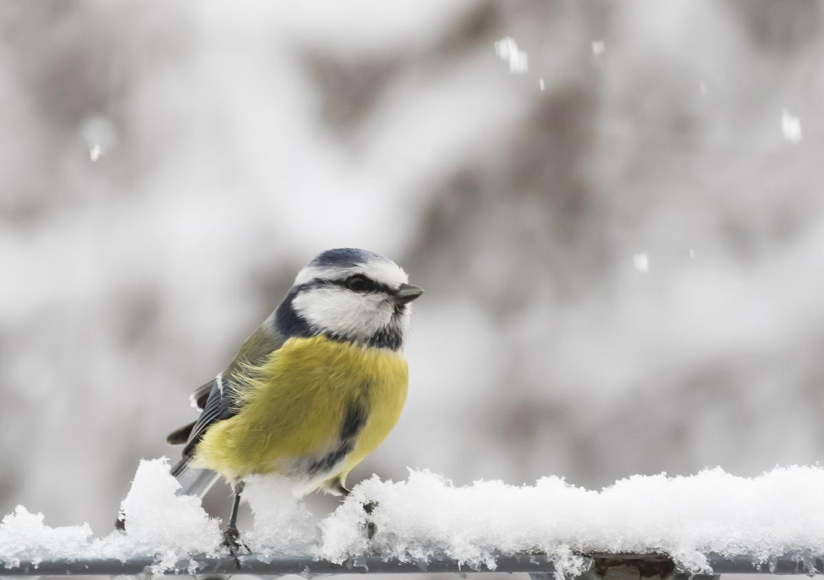  ������� ������� ���� ������� ������� ���� 